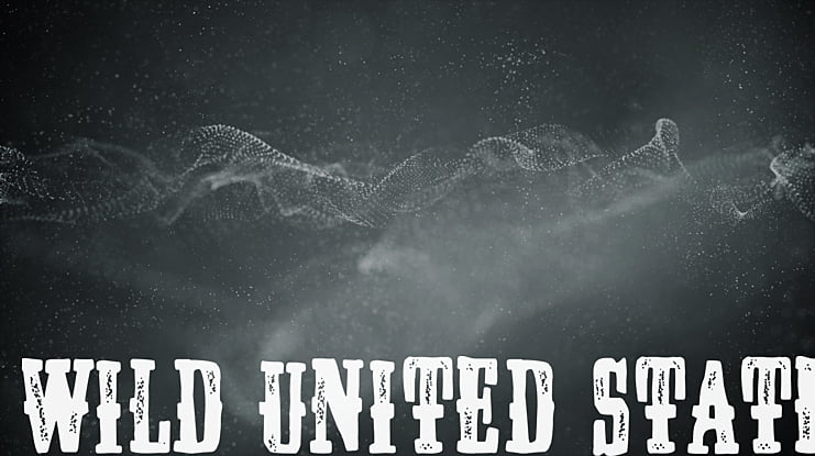 Wild United State Font