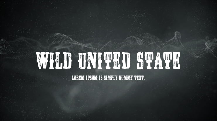 Wild United State Font