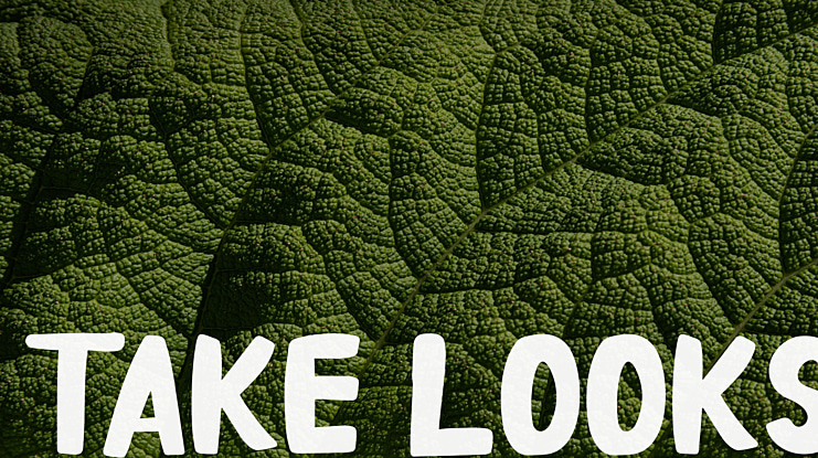 Take Looks Font