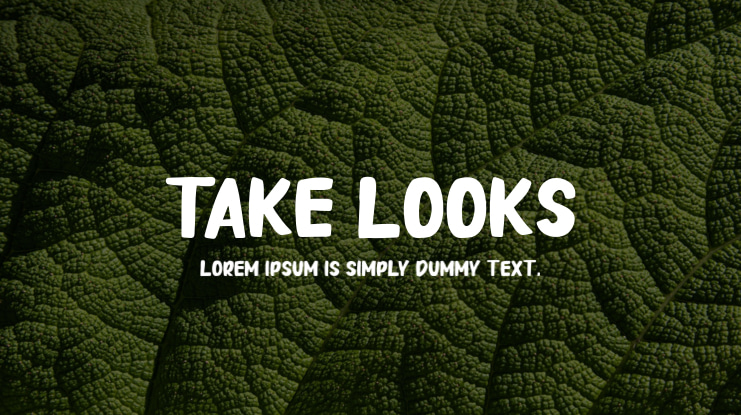 Take Looks Font