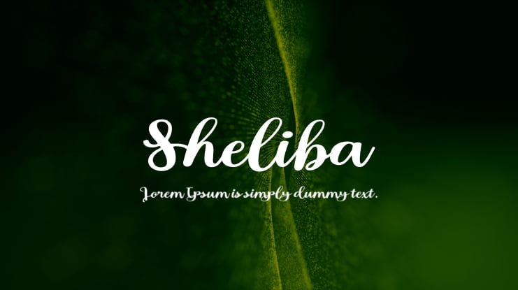 Sheliba Font