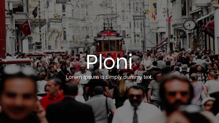 Ploni Font Family