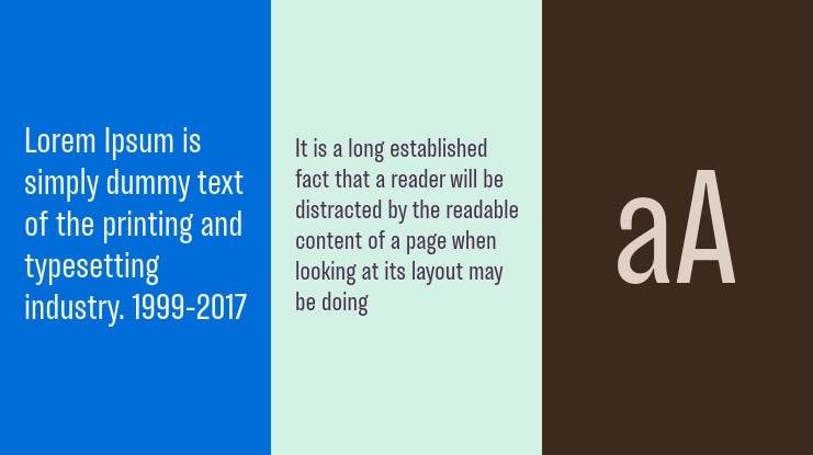 TT Backwards Sans Trial Font Family