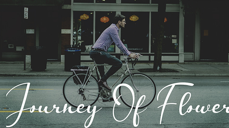 Journey Of Flower Font