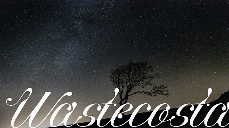 Wastecosta Font