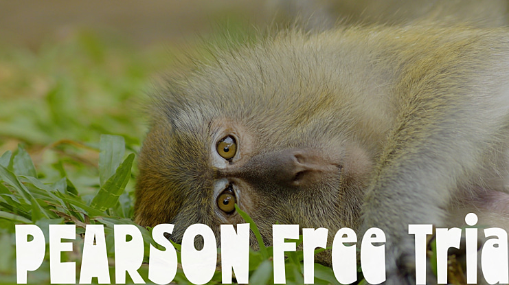 PEARSON Free Trial Font