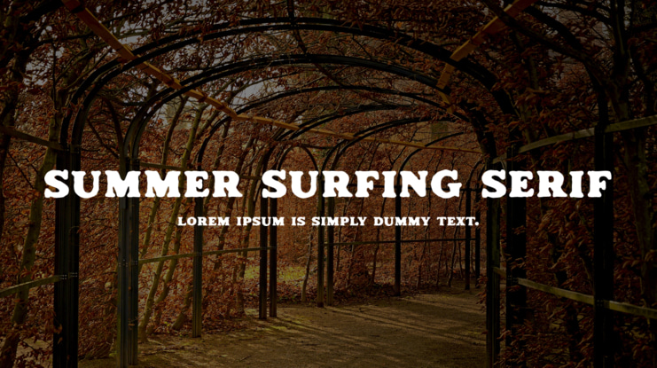 Summer Surfing Serif Font