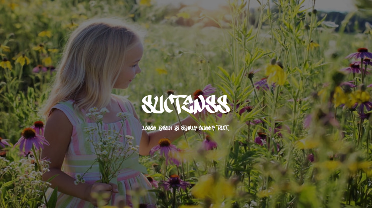 Suctenss Font