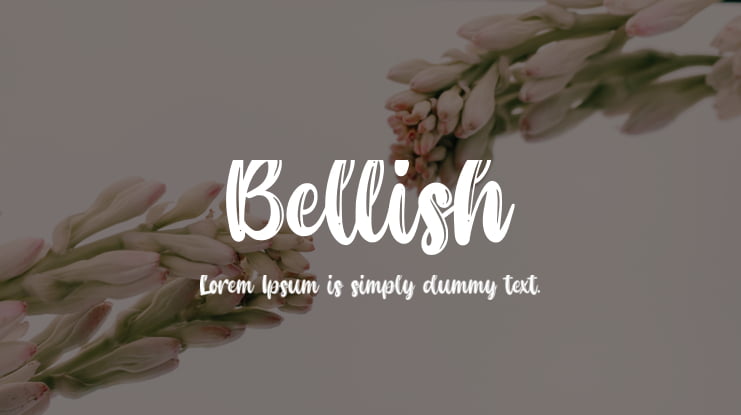 Bellish Font