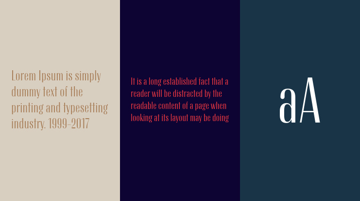 TT Knickerbockers Grotesk Trial Font