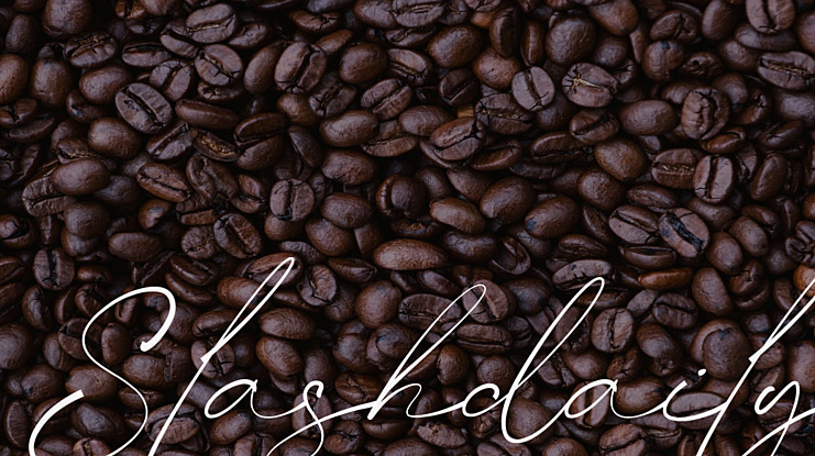Slashdaily Font