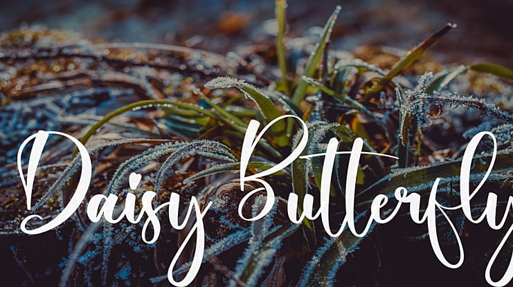 Daisy Butterfly Font