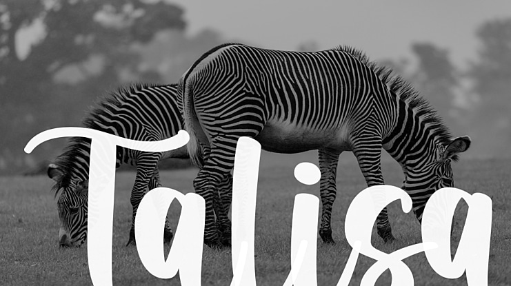 Talisa Font