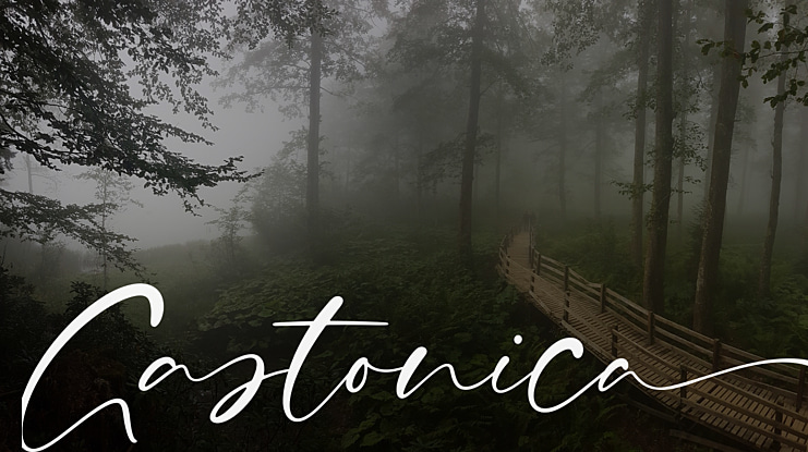Gastonica Font