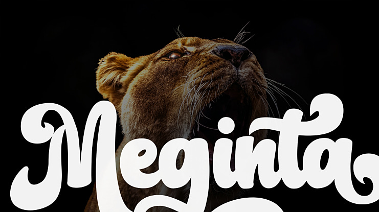 Meginta Font