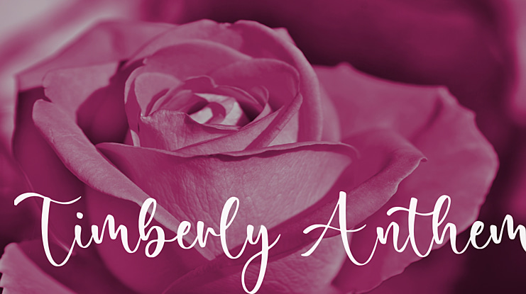 Timberly Anthem Font