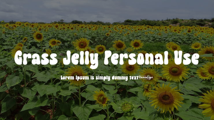 Grass Jelly Personal Use Font