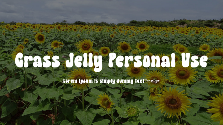 Grass Jelly Personal Use Font