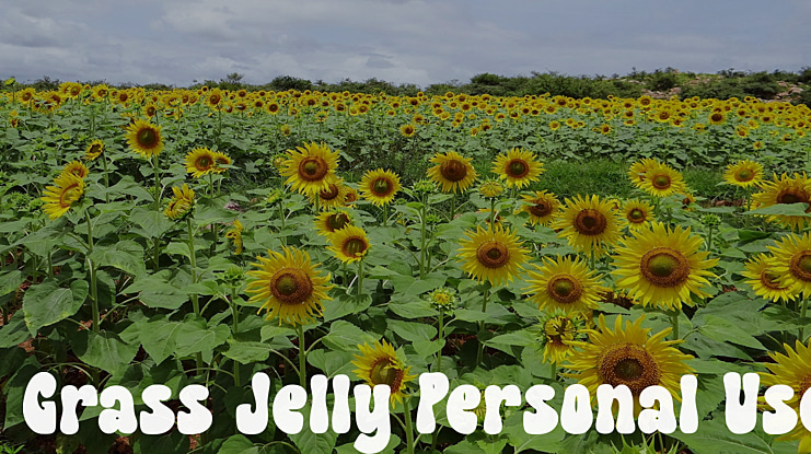 Grass Jelly Personal Use Font