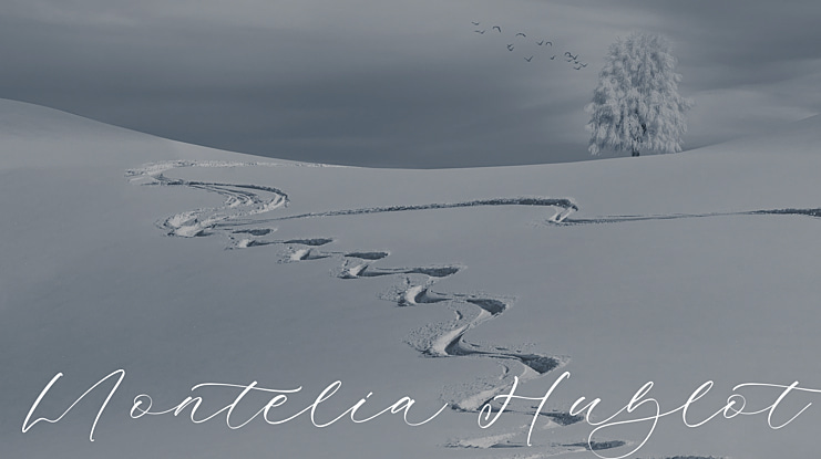 Montelia Hublot Font