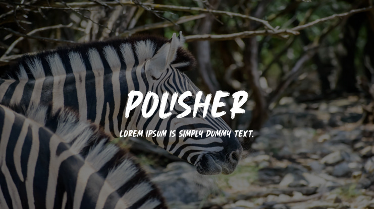 Polisher Font