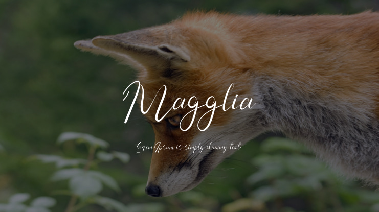 Magglia Font