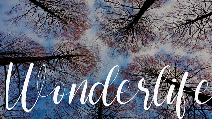 Wonderlife Font