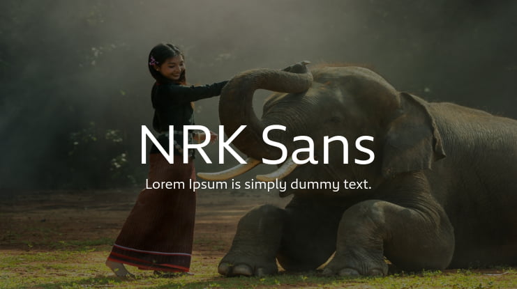 NRK Sans Font Family