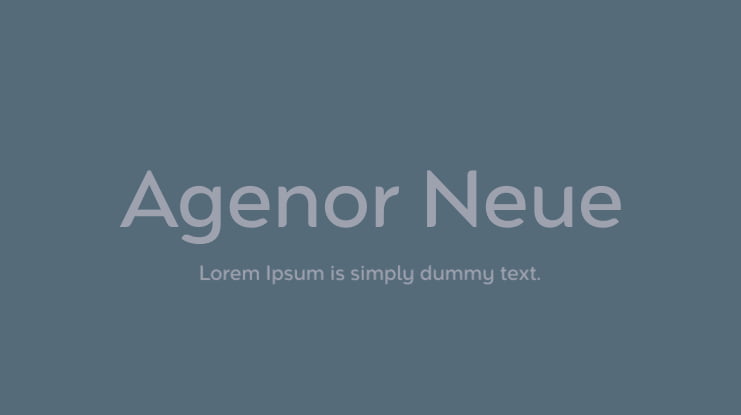 Agenor Neue Font