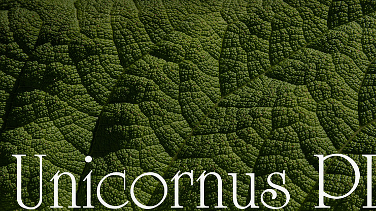 Unicornus PL Font