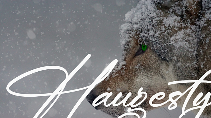 Haugesty Font