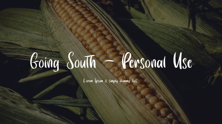 Going South - Personal Use Font
