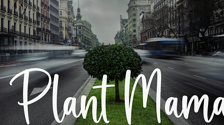 Plant Mama Font