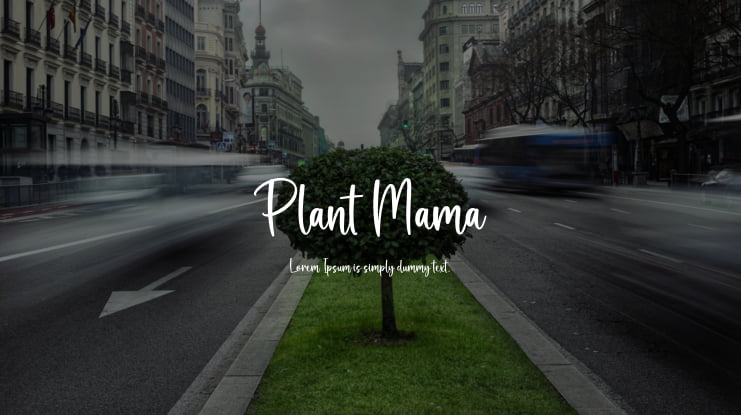 Plant Mama Font