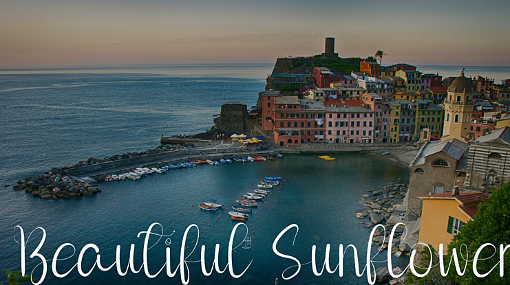 Beautiful Sunflower Font