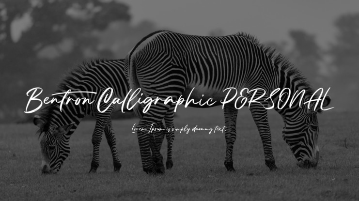Bentron Calligraphic PERSONAL Font