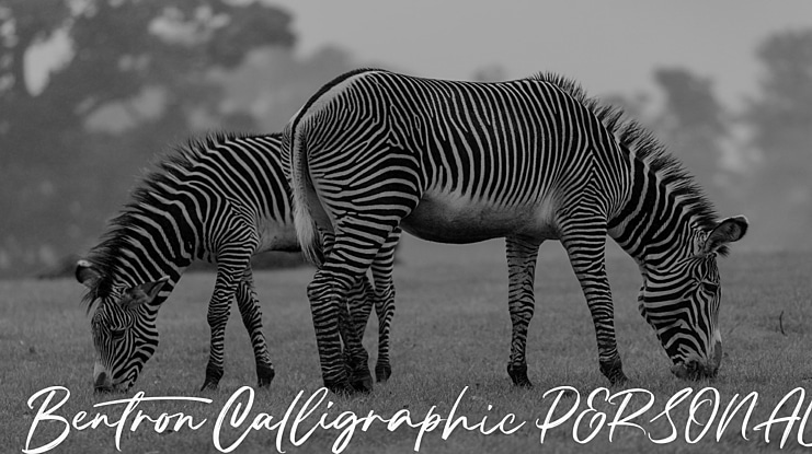 Bentron Calligraphic PERSONAL Font