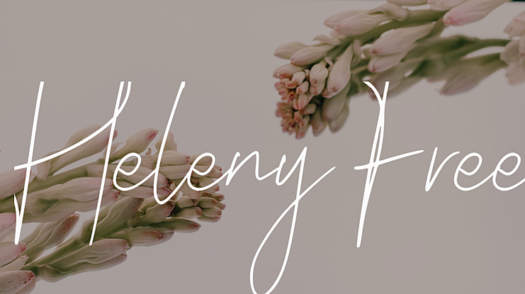 Heleny Free Font