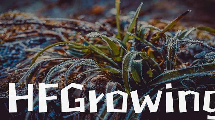 HFGrowing Font