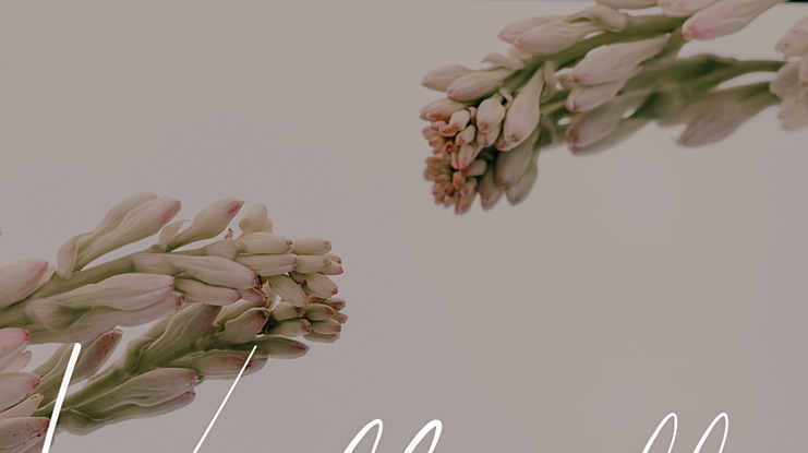 Vallenitta Font