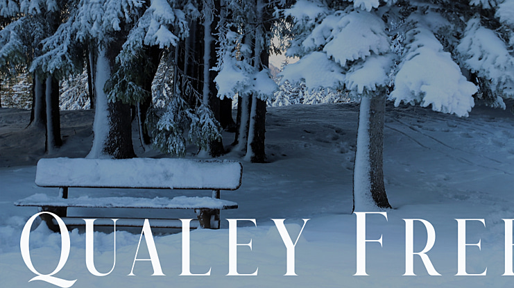 Qualey Free Font Family