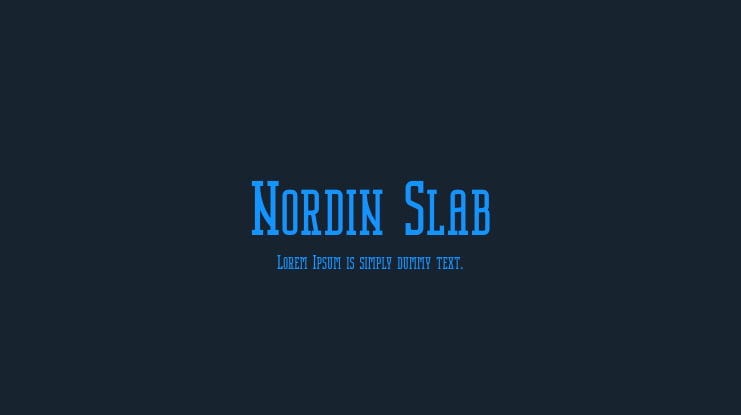 Nordin Slab Font