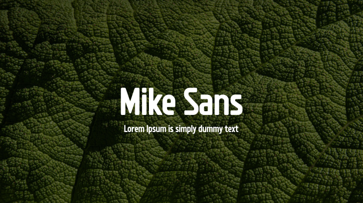 Mike Sans Font