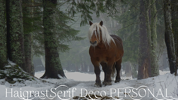 Haigrast Serif Deco PERSONAL Font Family