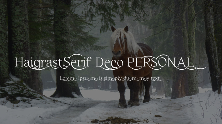 Haigrast Serif Deco PERSONAL Font Family