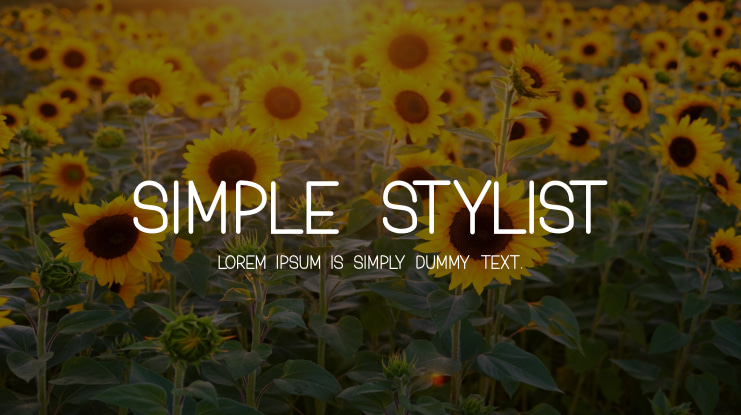Simple Stylist Font