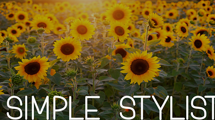 Simple Stylist Font