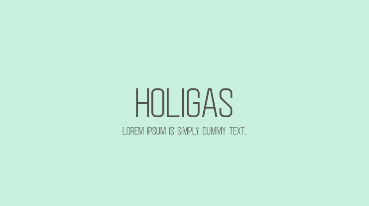 Holigas Font
