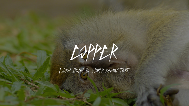 copper Font