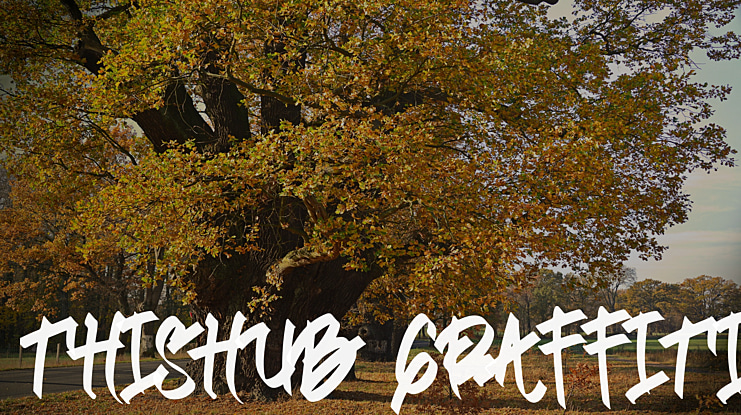 Thishub Graffiti Font